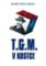 T.G.M. v kostce T.G.M. v kostce