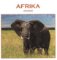 Afrika Afrika