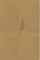 Bible, překlad 21. století (medová) - kapesní Bible, překlad 21. století (medová) - kapesní