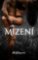 Mizení Mizení
