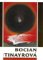 Bocian