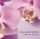 Phalaenopsis Phalaenopsis