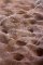 Multilogues on the Now: On Glands, Membranes and Cavities