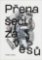 Přenašeči závěsů