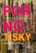 Pornotisky - České erotické a pornografické časopisy po roce 1989