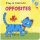 Play and discover - Opposites AJ Play and discover - Opposites AJ