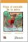 Lecturas Gominola - Viaje al corazón de la selva - Libro Lecturas Gominola - Viaje al corazón de la selva - Libro
