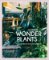 Ultimate Wonder Plants: Your Urban Jungle Interior