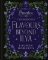 Flavours Beyond Ilya