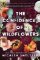 Confidence of Wildflowers Confidence of Wildflowers
