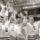 MS v ledním hokeji 1972 - Praha (ČSSR - SSSR) - finále MS v ledním hokeji 1972 - Praha (ČSSR - SSSR) - finále
