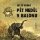 Jules Verne: Pět neděl v balónu