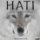 HATI HATI