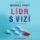 Lídr s vizí