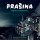 Prašina Prašina