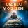 Cizinec v cizí zemi Cizinec v cizí zemi