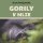 Gorily v mlze Gorily v mlze