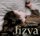 Jizva