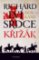 Richard Lví srdce: Křižák Richard Lví srdce: Křižák
