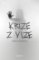 Krize z vize Krize z vize