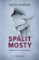Spálit mosty Spálit mosty