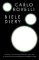 Biele diery Biele diery