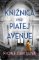 Knižnica na Piatej avenue Knižnica na Piatej avenue