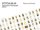 Fotoalbum / The Artist's Monograph Fotoalbum / The Artist's Monograph