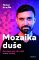 Mozaika duše Mozaika duše