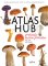 Atlas hub