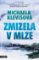Zmizela v mlze Zmizela v mlze
