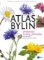 Atlas bylin Atlas bylin