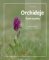 Orchideje České republiky Orchideje České republiky