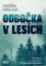 Odbočka v lesích Odbočka v lesích