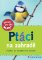 Ptáci na zahradě Ptáci na zahradě