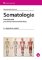 Somatologie Somatologie
