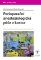 Perioperační anesteziologická péče v kostce Perioperační anesteziologická péče v kostce