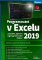 Programování v Excelu 2019 Programování v Excelu 2019