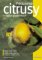 Pěstujeme citrusy v našich podmínkách Pěstujeme citrusy v našich podmínkách