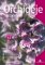 Orchideje na zahradě Orchideje na zahradě