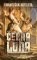 Černá luna Černá luna