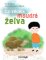 Co věděla moudrá želva