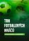 Trh fotbalových hráčů Trh fotbalových hráčů
