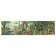 MOULIN ROTY Puzzle V deštném pralese - 350 pcs