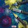 PENT.GFH-D8ST DUAL METALLIC BRUSH SADA 8KS