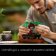 LEGO® Creator Bonsaj 10281