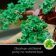 LEGO® Creator Bonsaj 10281