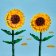 LEGO® Botanicals 40524 Slunečnice