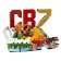 LEGO® Editions 43012 Cristiano Ronaldo – Hvězdné momenty fotbalu