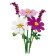 LEGO® Botanicals 11514 Krásenky